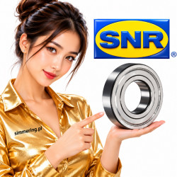 SNR 6001 ZZ Deep Groove Ball Bearing 12x28x8