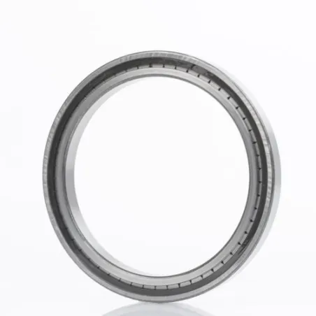 SL183013  INA 65x100x26 Łożysko Walcowe - Precyzja i Trwałość