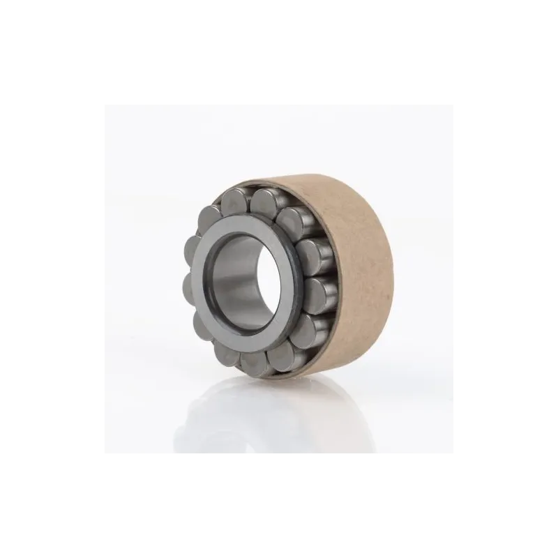 RSL183004  INA 20x36,81x16 Cylindrical Roller Bearing - Precision & Durability