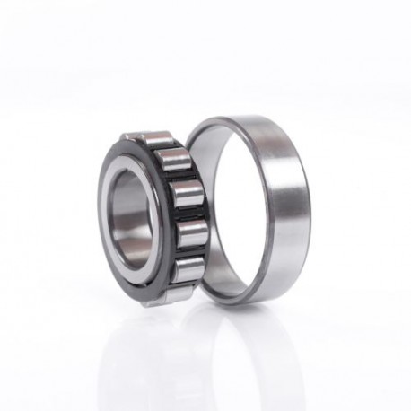 Cylindrical roller bearing N224 ECM 120x215x40