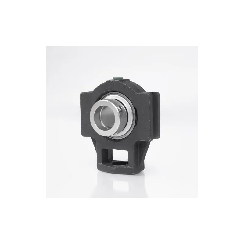 GG.TUE11 INA 100x'x' Bearing Housing - Durability & Precision