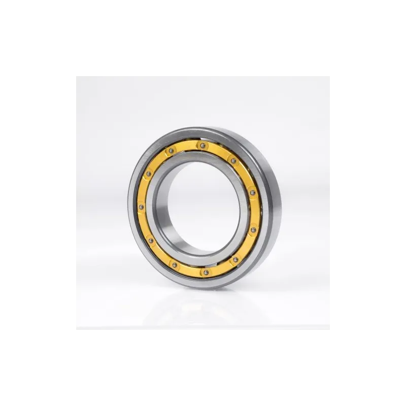 61876-MA NKE 380x480x46 Deep Groove Ball Bearing | High-Quality & Reliable