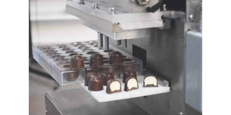 Rotary Shaft Seals in the Food Industry: Ensuring Hygiene and Operational Excellence